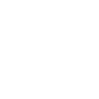 Tesla Logo White